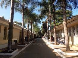 São Luis